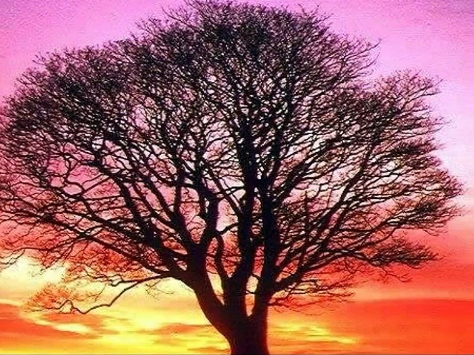 KALPTEN OLMAK-ARIF KARA