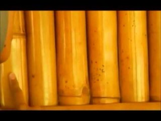 Cara Benar Mengolah Bambu