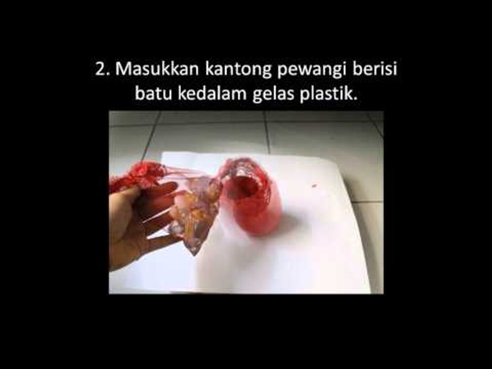 Cara Cepat Membuat Vas  Bunga Cantik