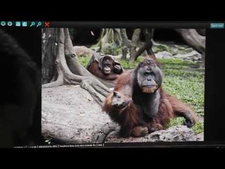 Intip Penjurian International Photography Contest 2014, Yuk!