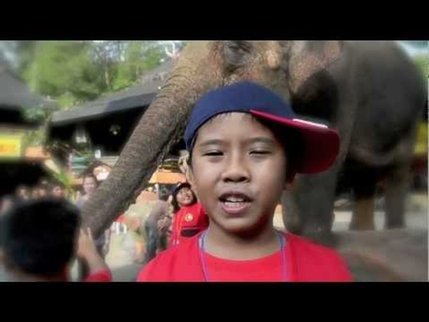 Bobo Young Journalist 2012