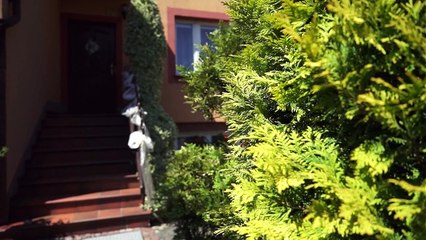 Przygotowania młodej pary