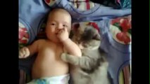 Il gatto che ama il bambino