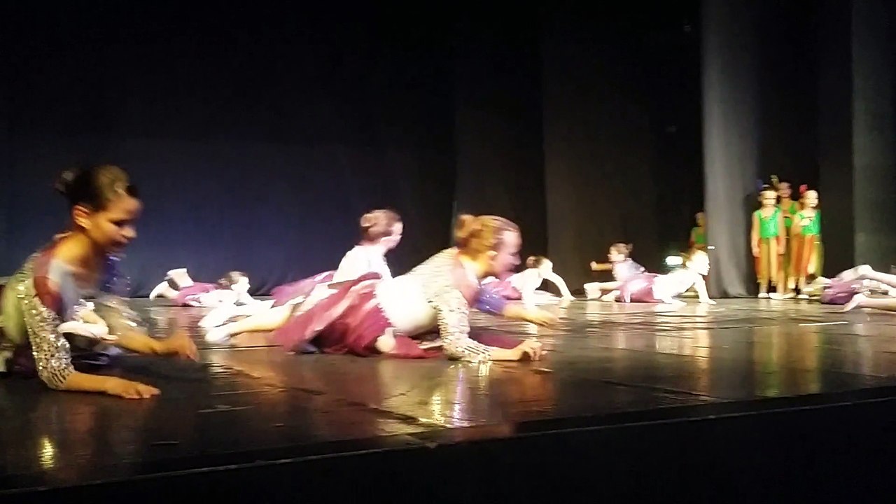 Koreografija / the show must go on / Teodora Minić AB dance / Ustanova Kulture Vuk / 14.06.2015