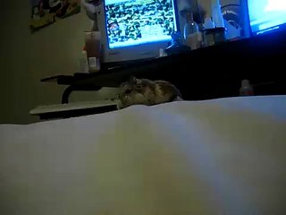 Peanut Butter is such a cutie!