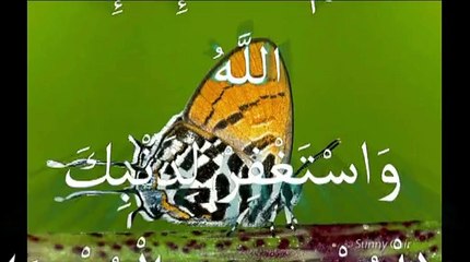 miracle d'Allah dans l'univers معجزة الله في الكون