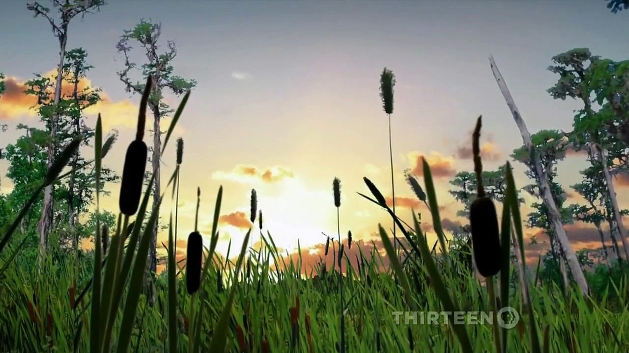 Is There A Multiverse - Universe Documentary