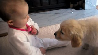 Puppy And Baby Meet For The First Time - CUTE