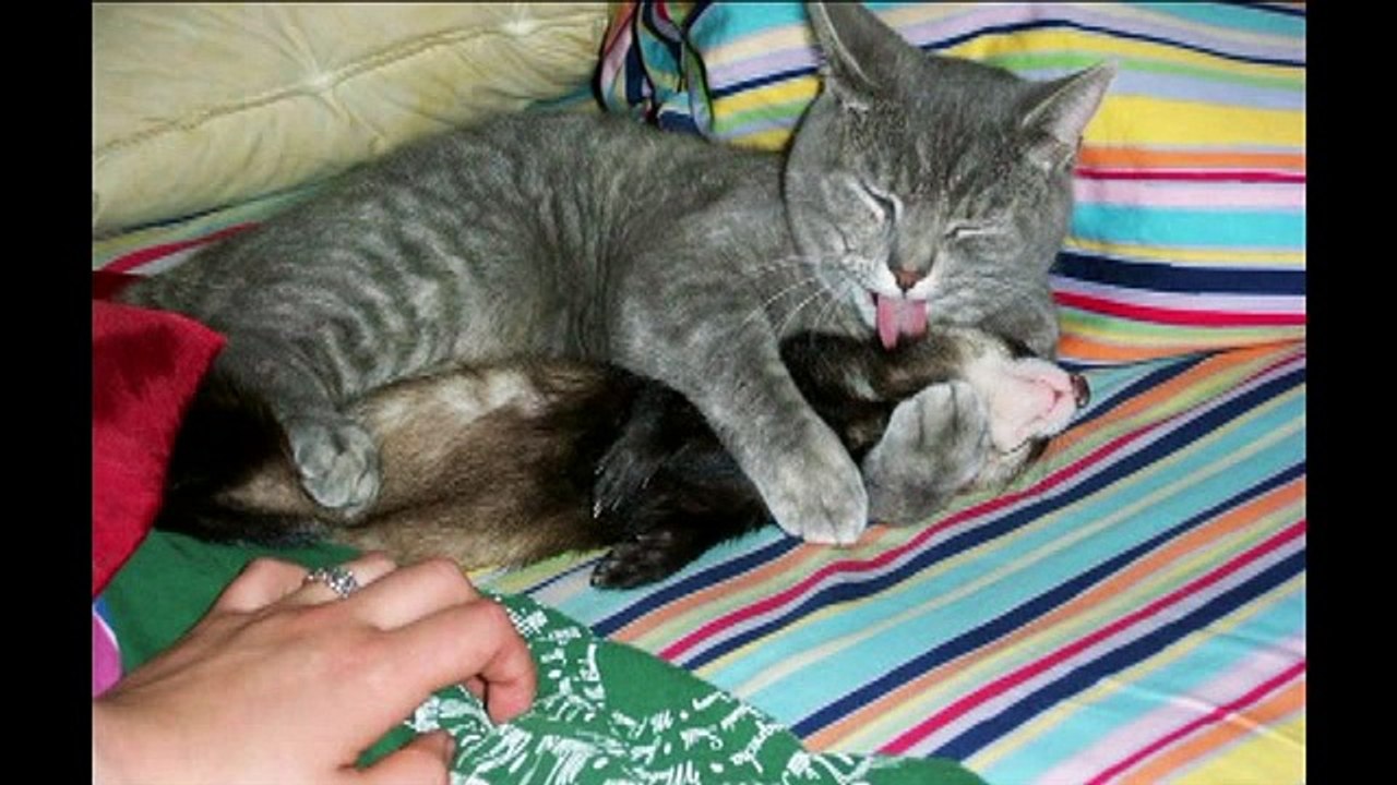 allah miracles ان عجزت عن الكلام فقط قل سبحان الله