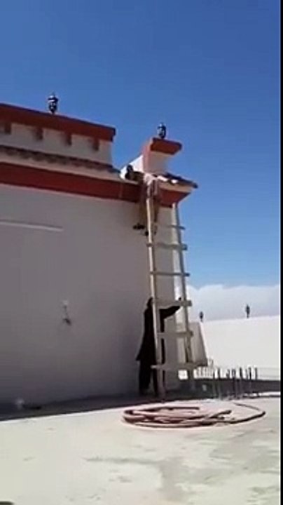 Ladder Troll funny video