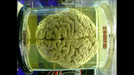 miracle d'Allah dans l'univers معجزة الله في الكون