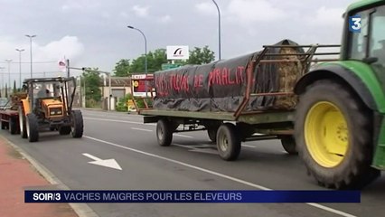 Les producteurs de viande se mobilisent contre les prix bas
