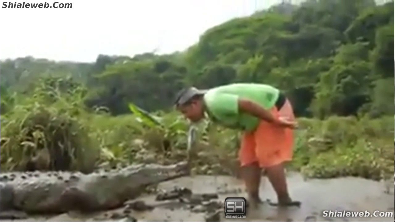 COCODRILO EN BARRA SANTA ANA BARRA DE PICHI LAZARO CARDENAS MICHOACAN MEXICO BESANDO A UN REPTIL JUNIO 2015
