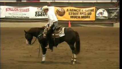 "Chic This Boy" Reining Horse For Sale by www.lomavistafarm.com