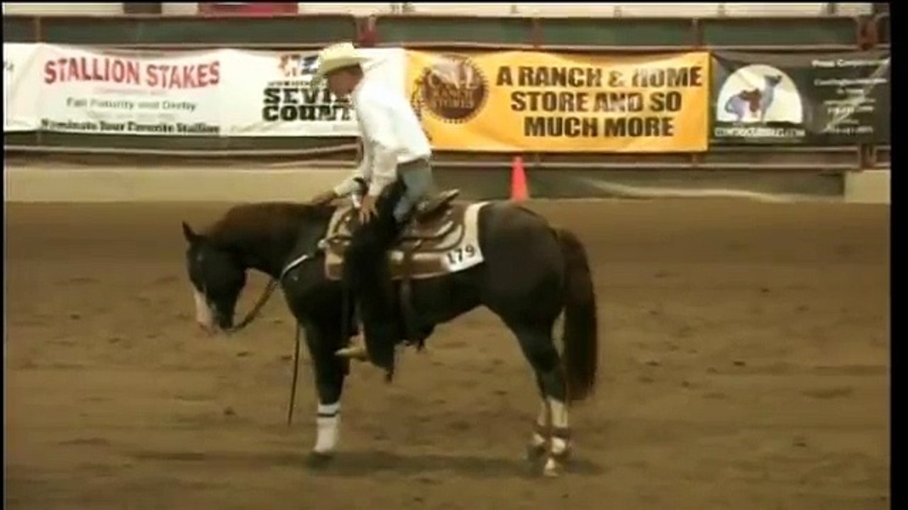 "Chic This Boy" Reining Horse For Sale by www.lomavistafarm.com