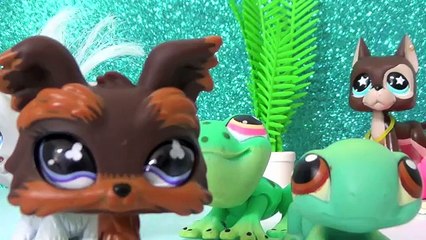 Fake LPS and LPS Generations (Read Description)