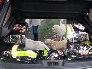 LÜTFEN SONUNA KADAR OKUYUN / ARNAVUTKÖY’E TEKRAR GİTTİK