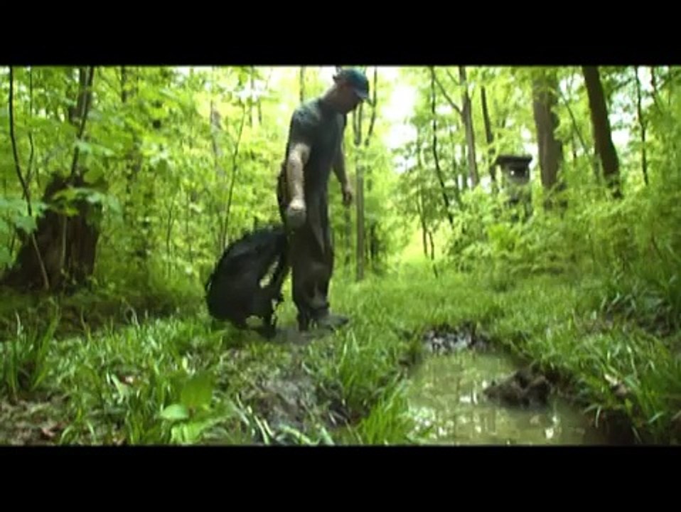 Alpine Newt in Germany: short version