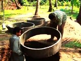 BIOTECH, India, Turning food waste into biogas - Ashden Award winner