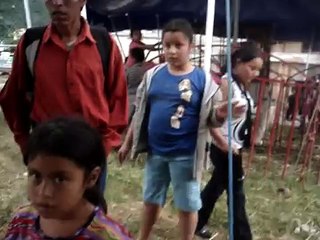 MOV09997.MPG   León en Jordan bros circus enfermo y moribundo con moscas en orejas, nariz y lengua.