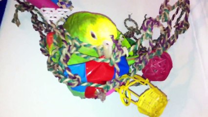 Ranger popping a Beach Ball