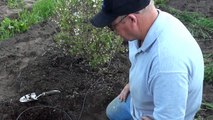 How to Test the pH of Your Soil