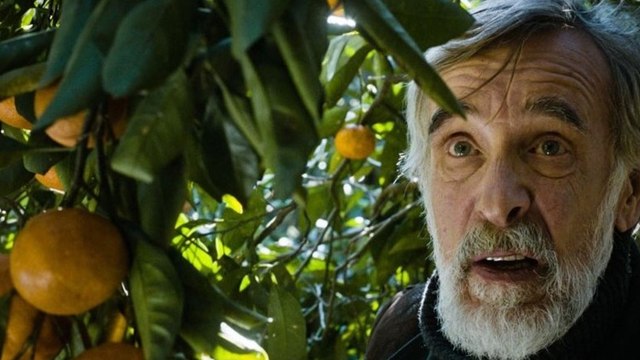 Tangerine Full Movie Streaming Online 2015 720p HD Quality M.e.g.a.s.h.a.r.e