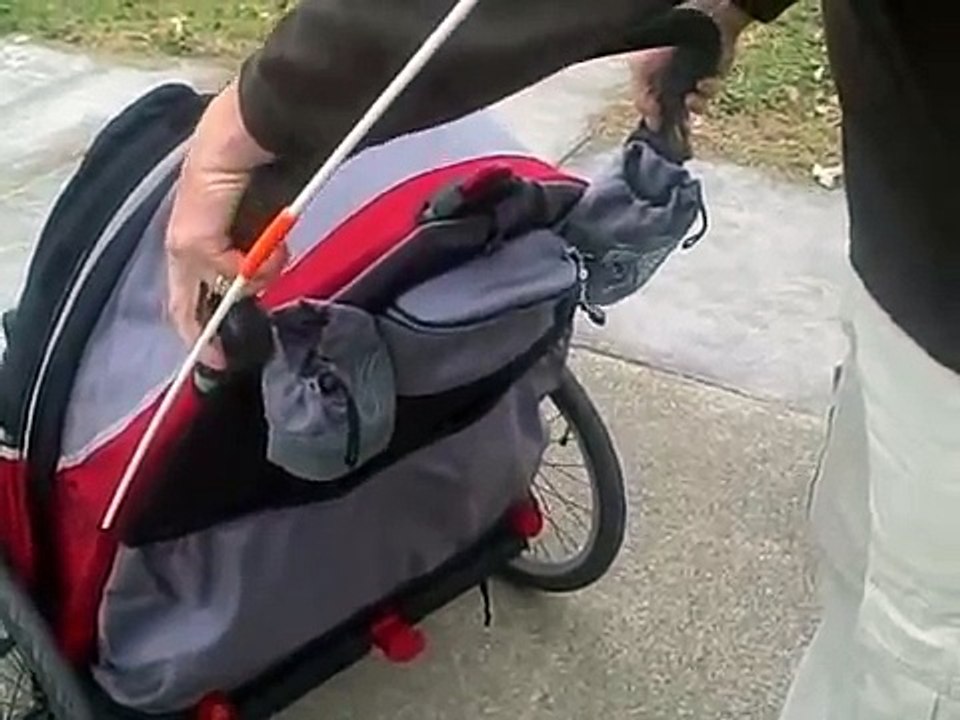 Rowdytown reviews Schwinn Joy Rider bike trailer / stroller