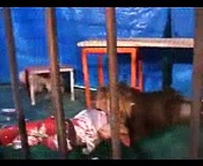 VID-20140610-WA0002