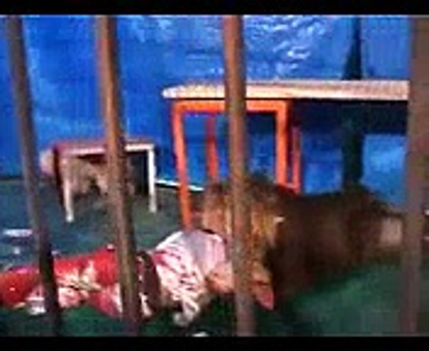 VID-20140610-WA0002