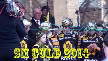 SKELLEFTEÅ AIK HELA SVERIGES AIK SM GULD 2014