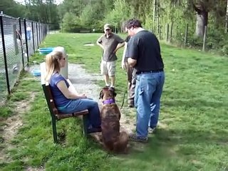 AKC CGC 10, Supervised Seperation and PASSING