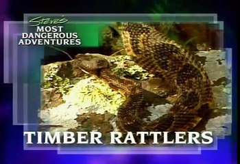The Crocodile Hunter:Steve's Most Dangerous Adventures (6/7)