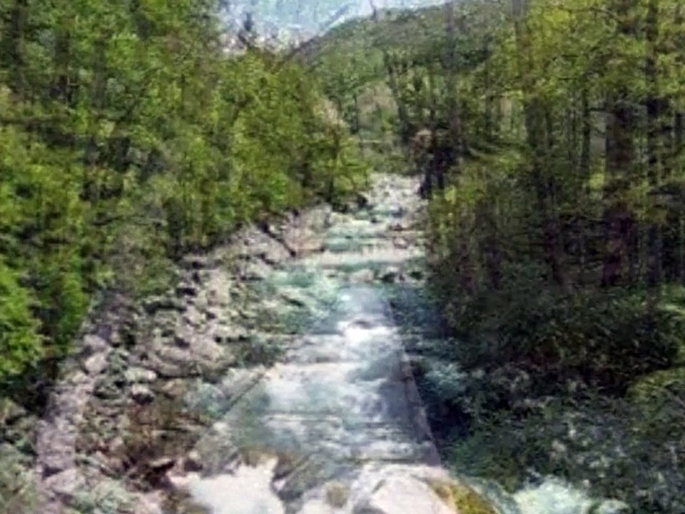 穂高白百合のアルバム