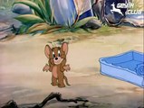 Tom ve Jerry - 009 - (1943)