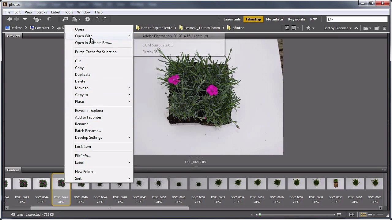 Nature-Inspired Text Effects in Adobe Photoshop: Introduction