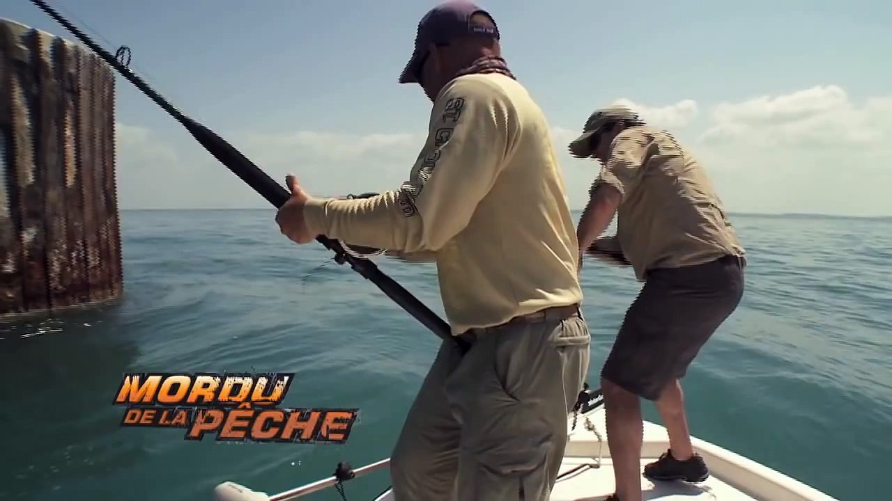 Cyril se fait défoncer le dos par un mérou géant aux Bahamas - Mordu de la Pêche avec Cyril Chauquet