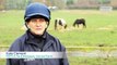 RSPCA Video - How our horse adoption process works