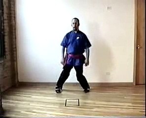Tai Chi Gold, Part 1B