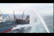 Sea Shepherd Captain Lies about Collision with Whaling Ship