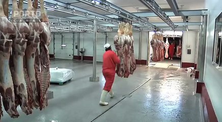 Fumados Douro, Armamar