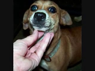 Give Them A Chance to be Thankful: LACC (Roicy), Lafayette,