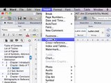 Captions - Thesis Formatting on Microsoft Word for Mac 2011