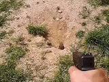 Groundhog at 1 yard with glock 23.. Sneek attack.. Ohio 2011