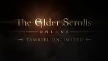 The Elder Scrolls Online - Tamriel Unlimited - Bethesda E3 2015