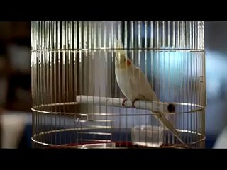 İNCESU SÜSLER KOMBİ SRV.(0312) 279-15-16