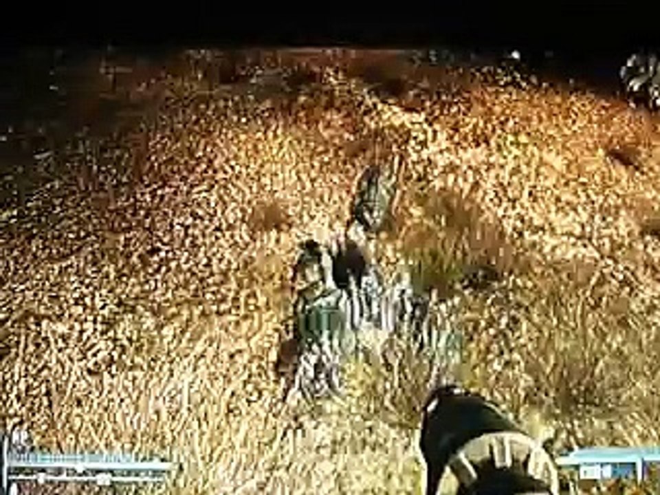 The Evil Tentacle Monster in Fallout 3