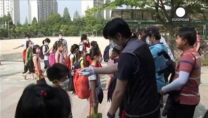 Южная Корея: вирус MERS не представляет угрозы