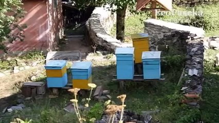 Красавицы и Чудовища