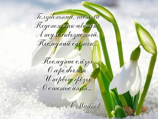 П.Чайковский Апрель"Новая классическая гитара".P.Tchaikovsky April "New classical guitar"